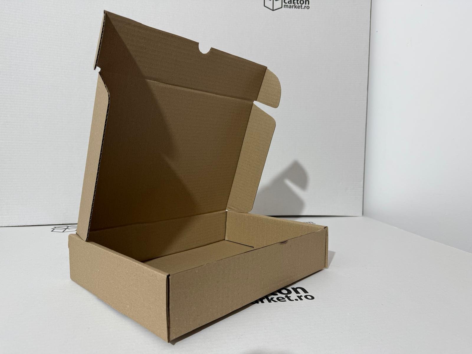 cutie carton tip co3 / ondula b 310 x 234 x 63, culoare carton:natur